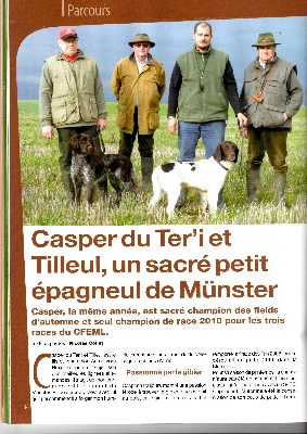 des étoiles de Woodcock - Casper dans L'Officiel du Chien de Chasse