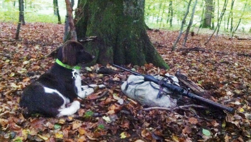 CH. TR. Poker vom wolfsbau